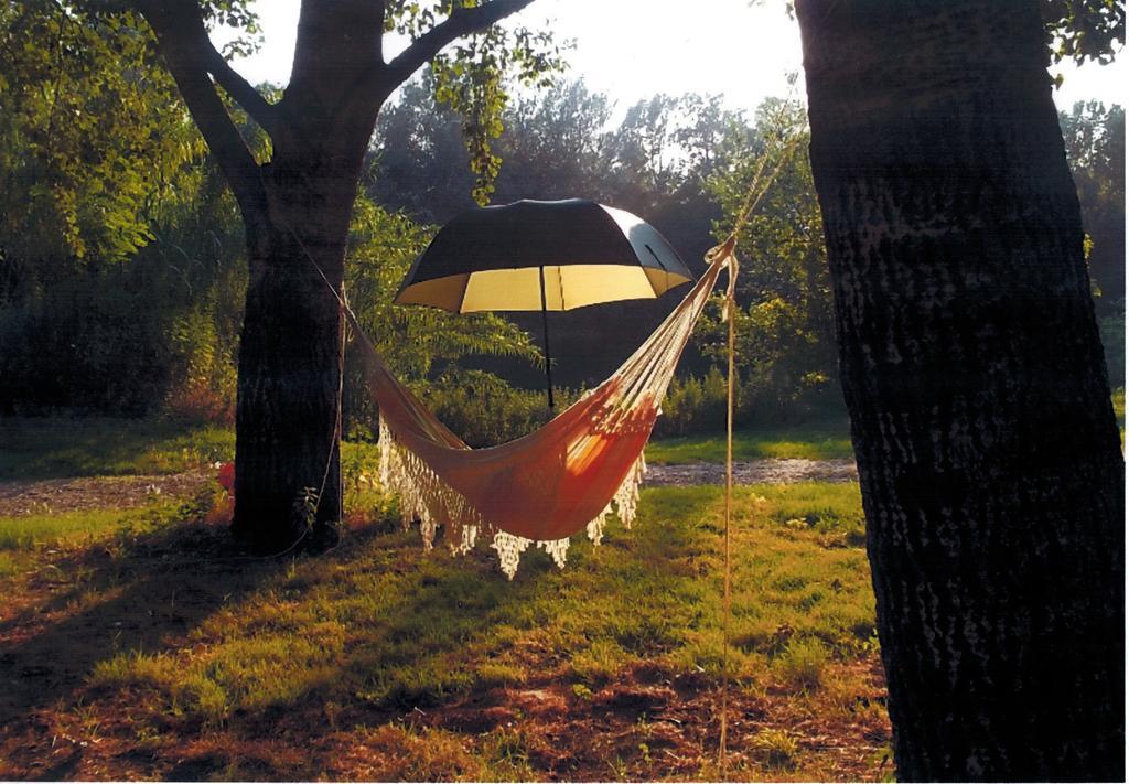 Camping Paradis Bellerive Montfrin Εξωτερικό φωτογραφία
