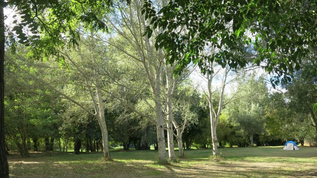 Camping Paradis Bellerive Montfrin Εξωτερικό φωτογραφία